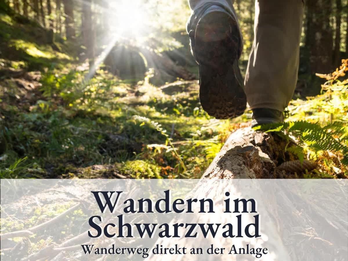 Relax-Apartment 164 Mit Indoor-Pool, Sauna, Kueche Und Netflix Schonach im Schwarzwald Екстер'єр фото